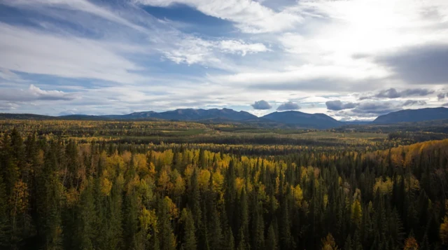 관광 명소인 밴프나 재스퍼와 달리, 이 철도 탐방로 주변에는 인파가 거의 없다