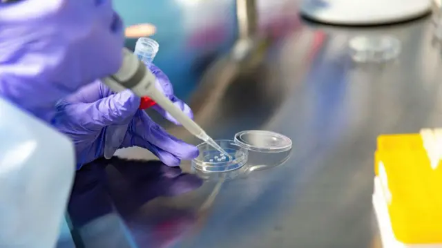 सांकेतिक तस्वीर