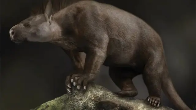 heyvan, inkişaf, paleontologiya