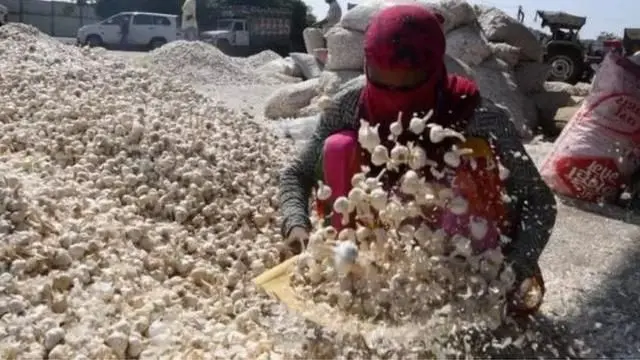 લસણના ભાવ આસમાને