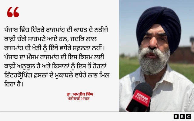 ਡਾ. ਅਮਰੀਕਾ