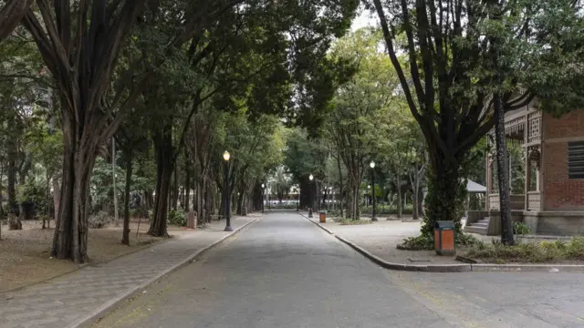 Parque Jardim da Luz, no centroesportiva bet bônusSão Paulo, é o mais antigo da cidade