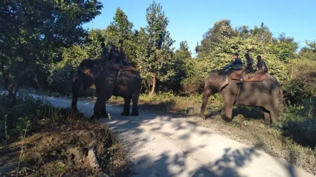 হাতি নিয়ে শচীনকে খুঁজছেন বেঙ্গল সাফারি পার্কের কর্মীরা