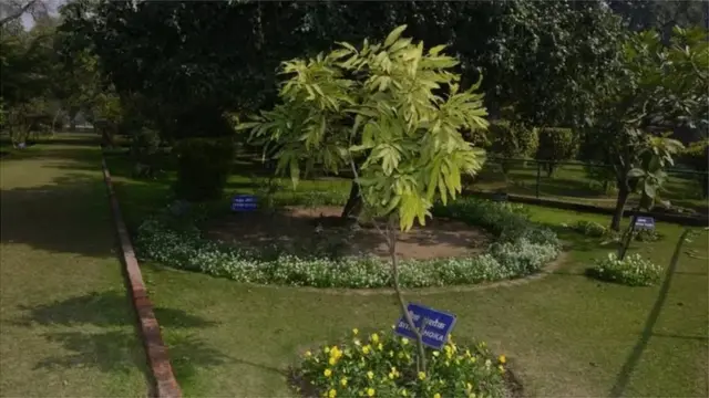 આધ્યાત્મિક ગાર્ડન