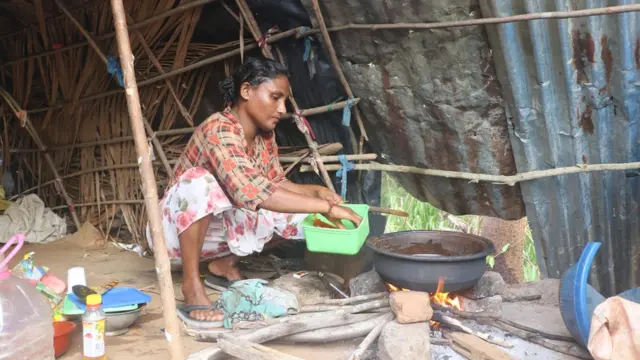 සෙල්වමලර්