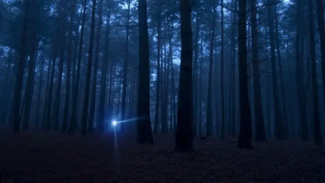 જંગલોમાં નકલી ગોળીબારી દર્શાવવા ફ્લેશલાઇટ્સનો ઉપયોગ કરાયાની પ્રતીકાત્મક તસ્વીર