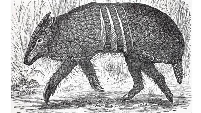 Kusta: Penyakit kuno misterius yang belum bisa dipecahkan para ilmuwan