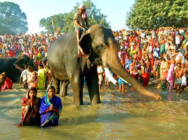 सोनपुर का मेला