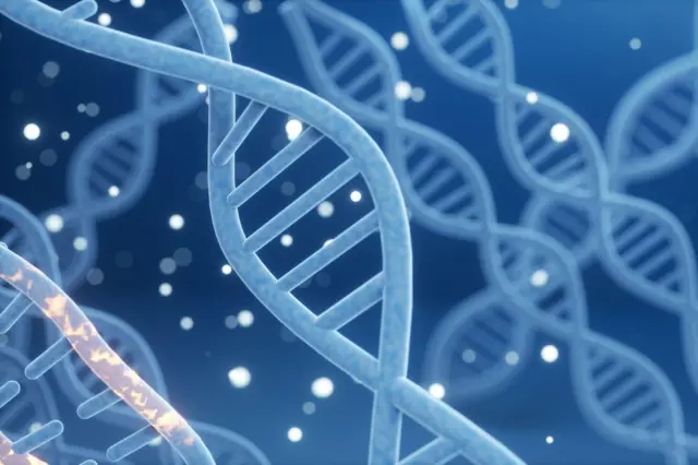 DNA चं कल्पनाचित्र