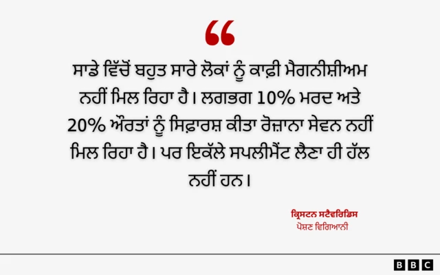 ਮੈਗਨੀਸ਼ੀਅਮ