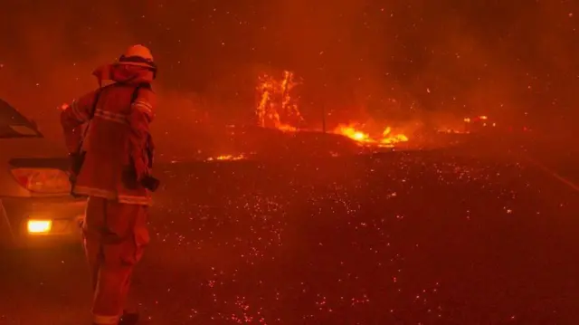 جو بایدن، رئیس جمهوری آمریکا این لایجه را «تاریخی» خوانده و وعده داده که ایالات متحده را در زمینه مقابله با تغییرات اقلیمی به صحنه بینالمللی باز خواهد گرداند