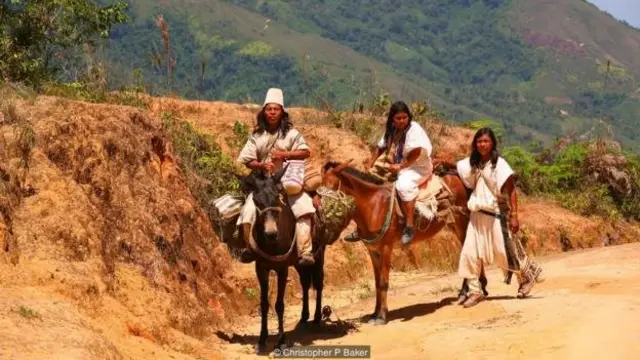 प्रकृति