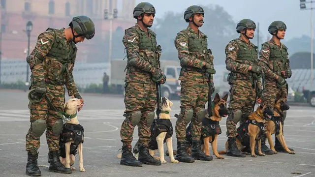 जवान कुत्तों के साथ