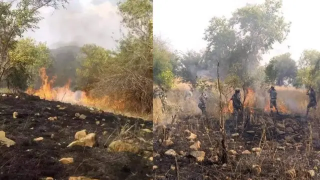 ባርዕ ኣብ ቃፍታ ሑመራ