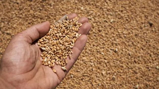 ਐੱਮਐੱਸਪੀ ਕਮੇਟੀ ਗਠਿਤ
