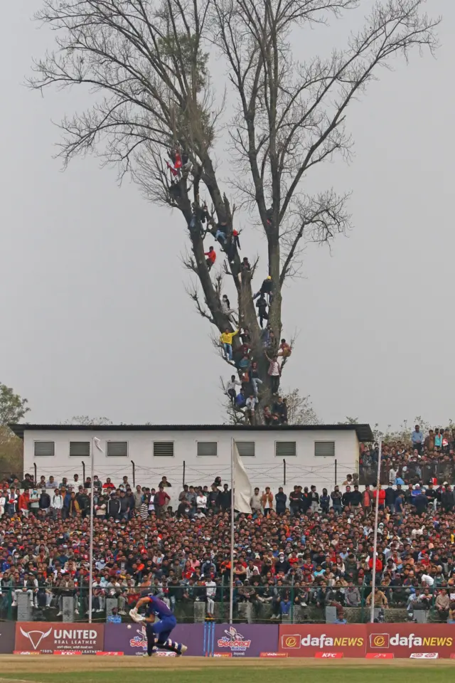 क्रिकेट 