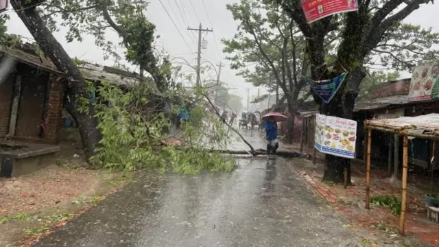 રીમાલની અસર 