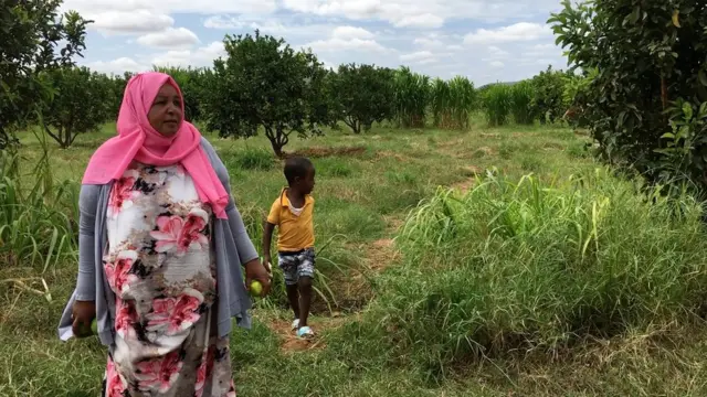 Aadde Fatihaa maasii isaanii keessatti