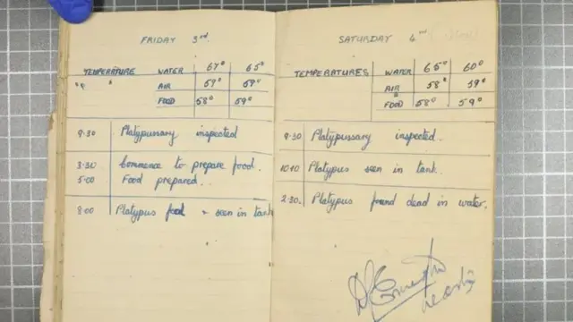 வின்ஸ்டன்