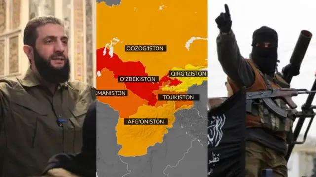 Bandajlangan xorozlarning erotik fotosuratlari