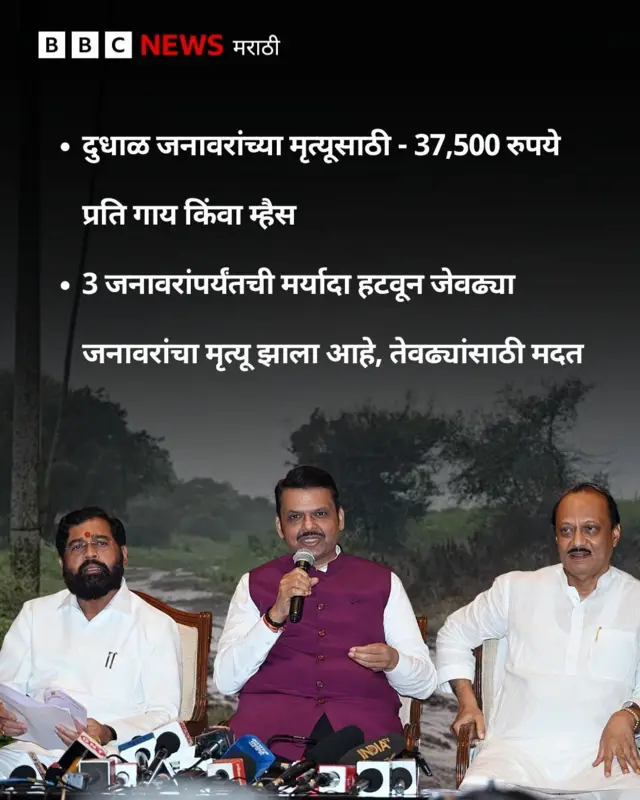 ग्राफिक्स