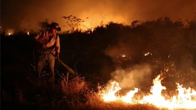 Homem combate incêndioroleta do supremosetembroroleta do supremo2020 no Pantanal