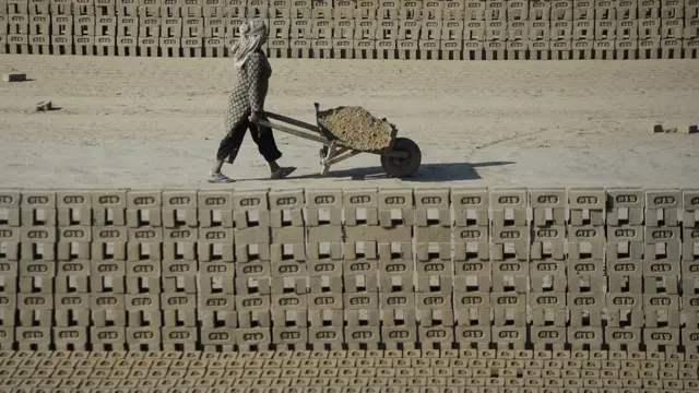woman transports brick