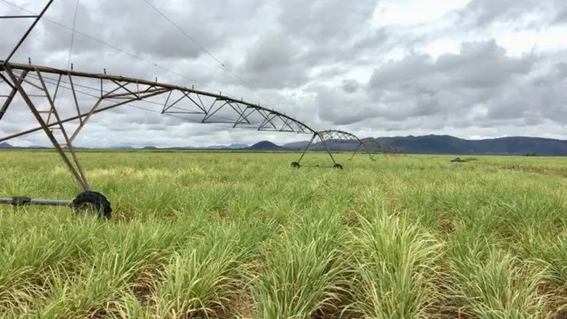 ALI bara 2015 mootummaan sukkaara miiliyoona 2.2 oomishuuf kaayyeffate