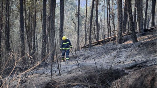 不少中国专家认为，几次四川森林火灾中，地形环境的影响重大。