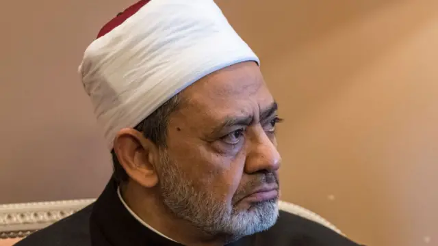الإمام الأكبر شيخ الجامع الأزهر أحمد الطيب