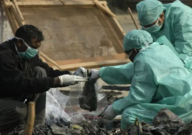 ફોરેન્સિક નિષ્ણાતો 