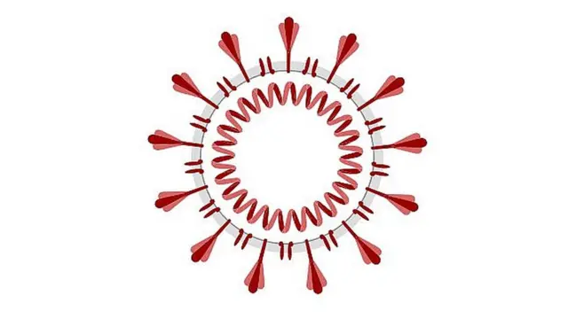 సార్స్, మెర్స్ వ్యాధులు