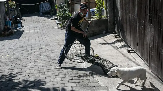 Virus rabies menyebar di NTT