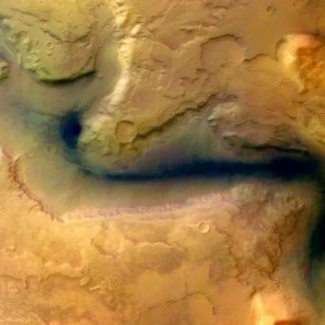 متحدہ عرب امارات، مریخ