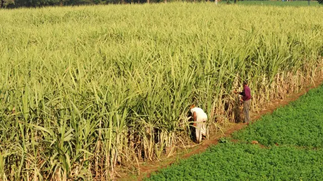 किसान और टैक्स