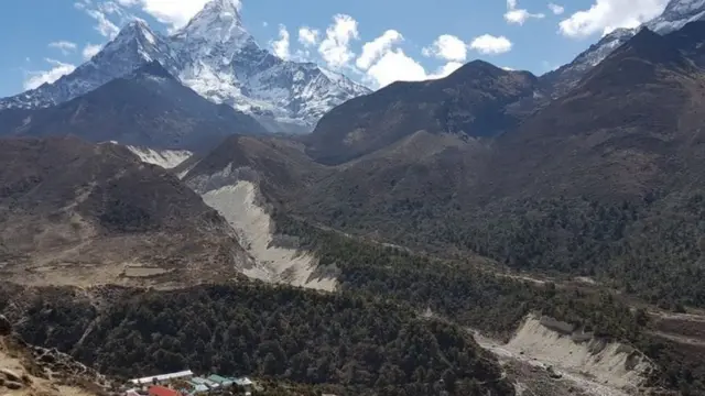 ਹਿਮਾਲਿਆ ਕਰੋਪੀ