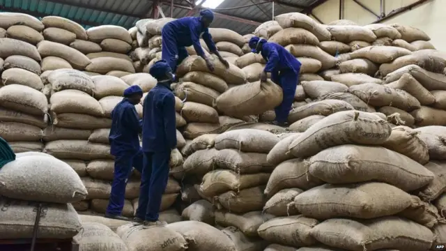 Cashew nut na big business