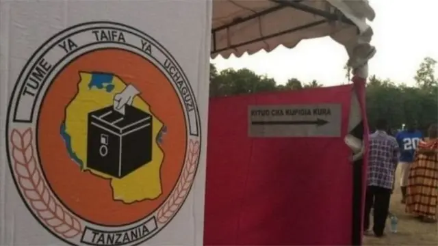 Mchakato wa kupiga kura
