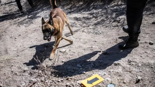 Yaki da miyagun kwayoyi