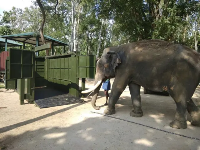 வனவிலங்குகளை மீட்க ஹைட்ராலிக் ஆம்புலன்ஸ்