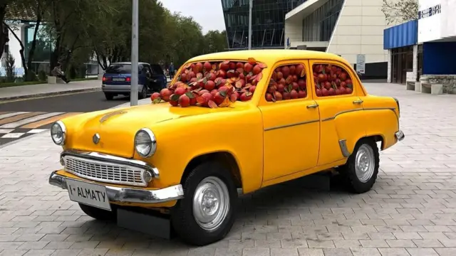 رحلة إلى مهد التفاح في العالم