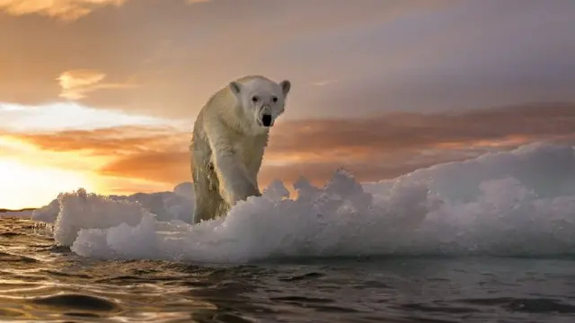 ஜோ பைடன் : காலநிலை மாற்றத்தை எதிர்கொள்ள என்ன திட்டம் இருக்கிறது?