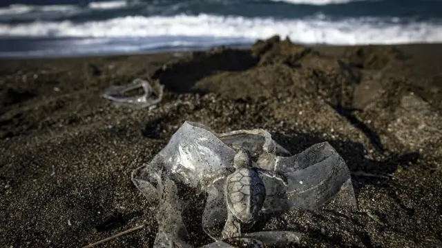 మత్స్యవేటకు వేసే వలలు కూడా మత్స్య సంపదకు ముప్పు కలిగించే అవకాశం ఉంది