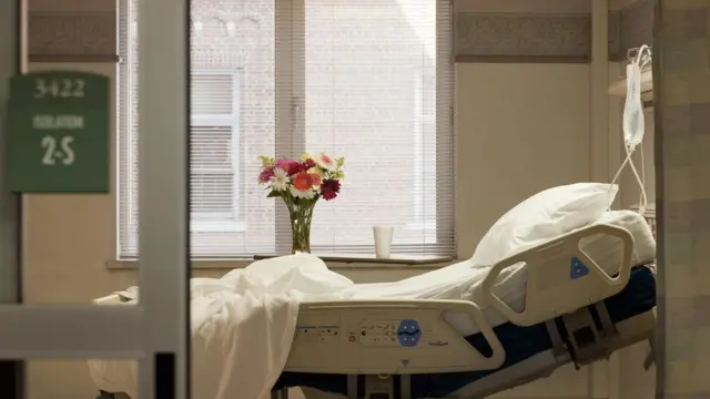 పరిశోధన