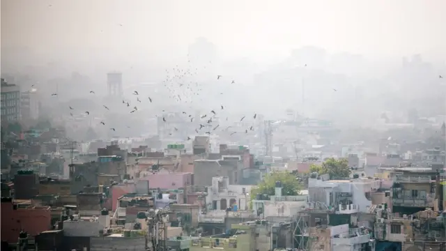 દિલ્હીનું પ્રદૂષણ