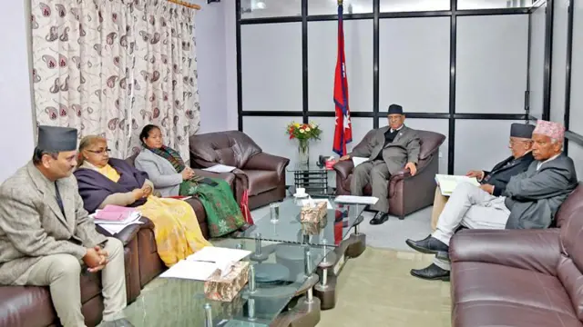 संवैधानिक परिषद्को बैठक