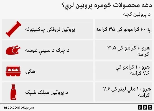 A graphic comparing the protein content of four different kinds of food products: a chocolate chip protein bar, chicken breast fillets, medium free range eggs and a high protein milkshake