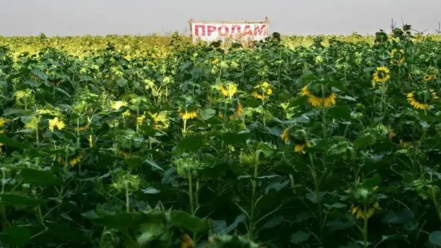 продаж землі, поле 