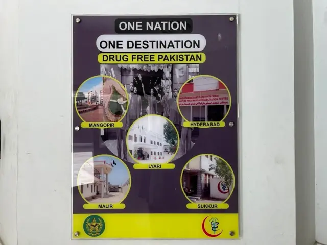 పాకిస్తాన్, టెర్రరిజం, భారత్, సినిమా