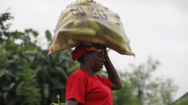 OGM : démystifier les affirmations trompeuses dans le débat sur l’alimentation au Nigéria